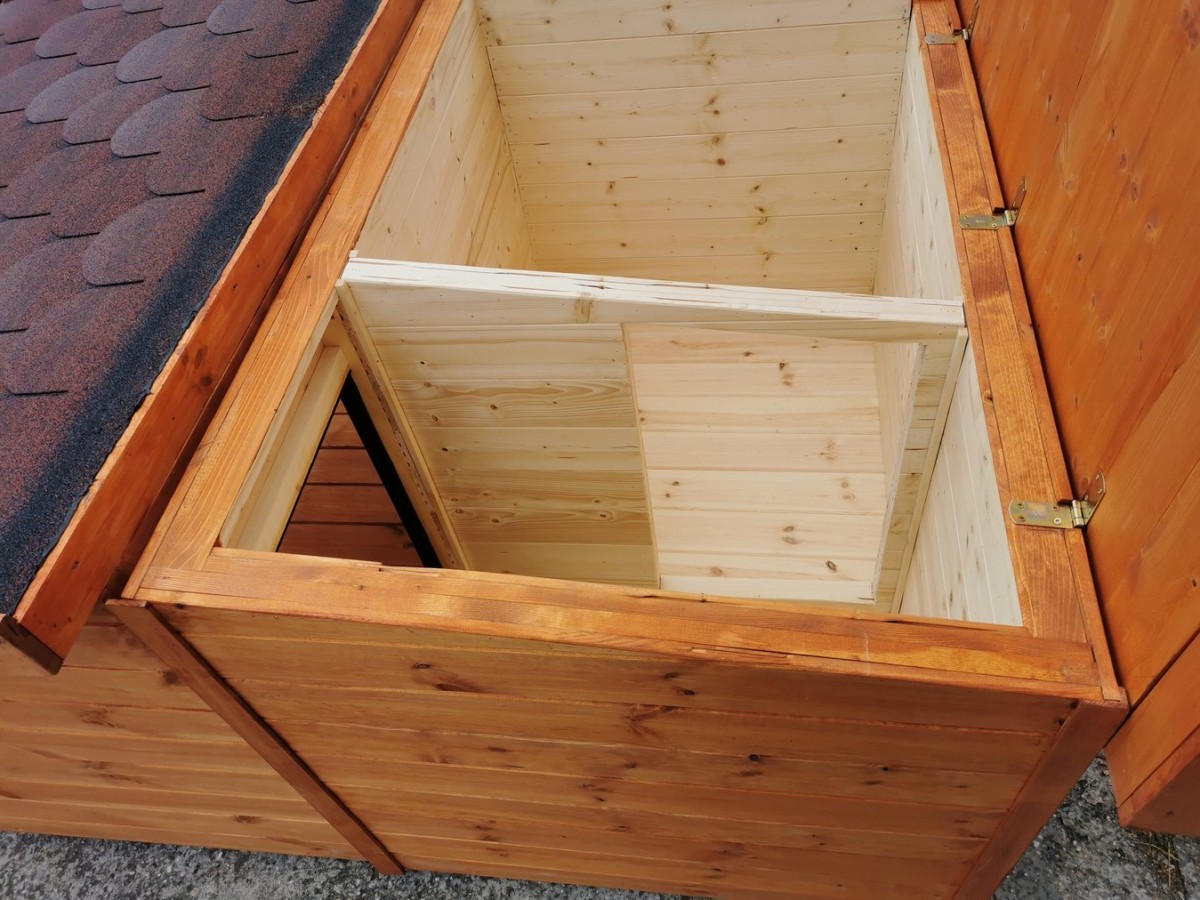 Rex isolierte Hundehütte