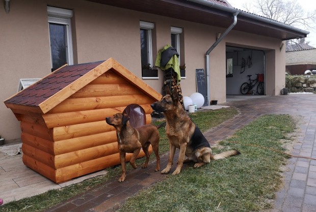 Cezar szigetelt kutyaház