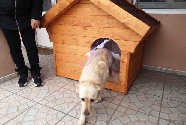 Atlas szigetelt kutyaház