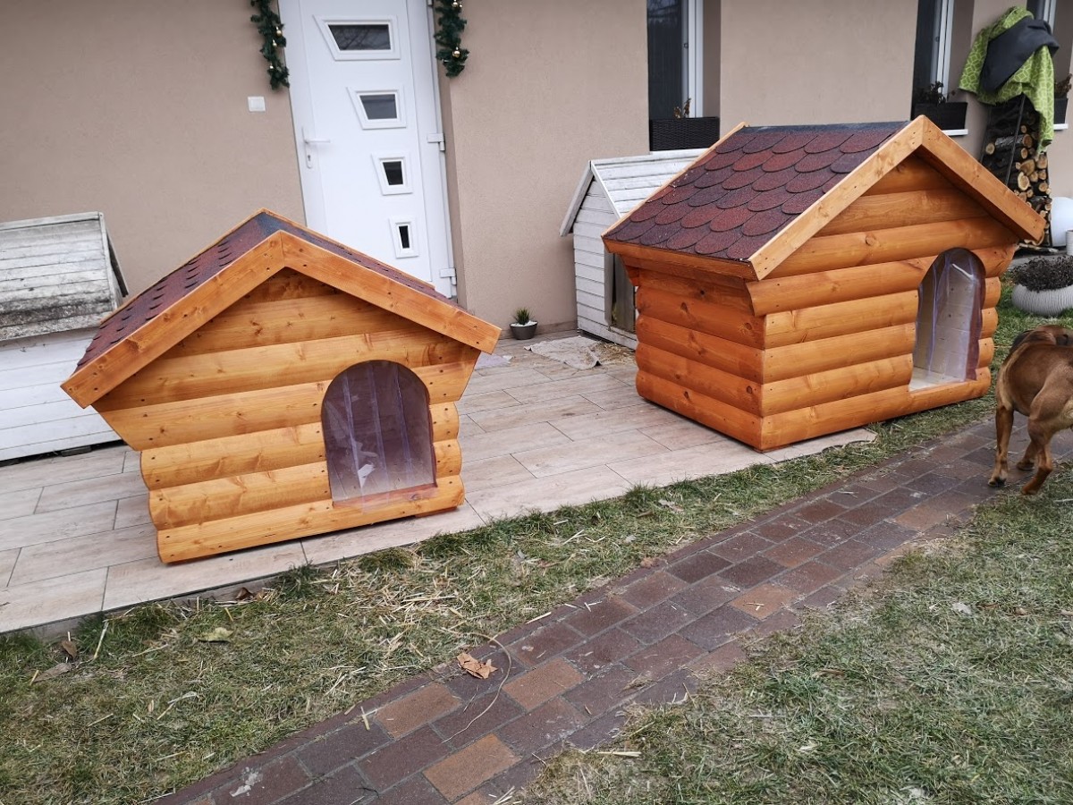 Cezar isolierte Hundehütte